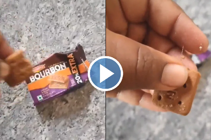 Iron Wire in Bourbon Biscuit
