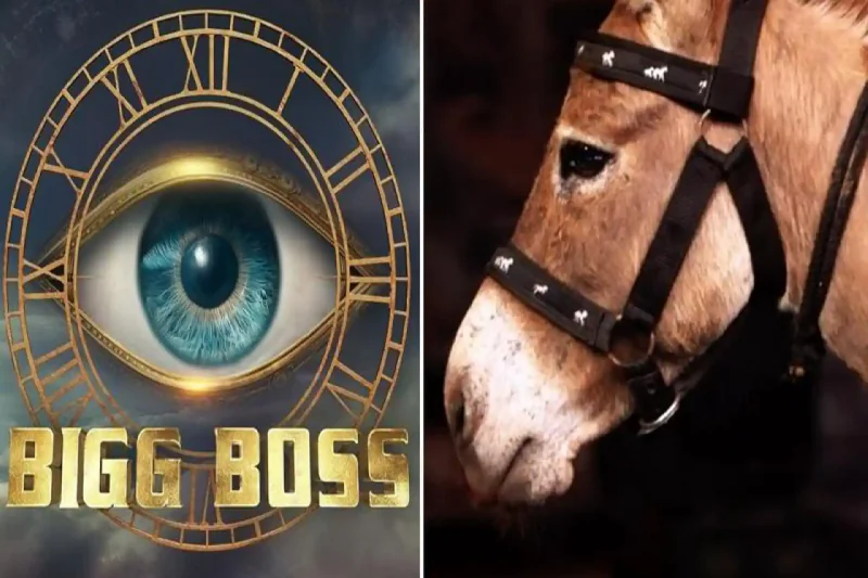 Donkey Joins Bigg Boss 18