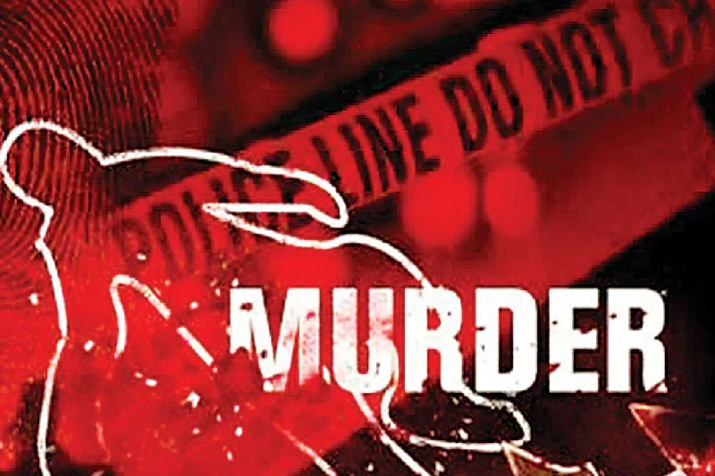 man killed 2 friends