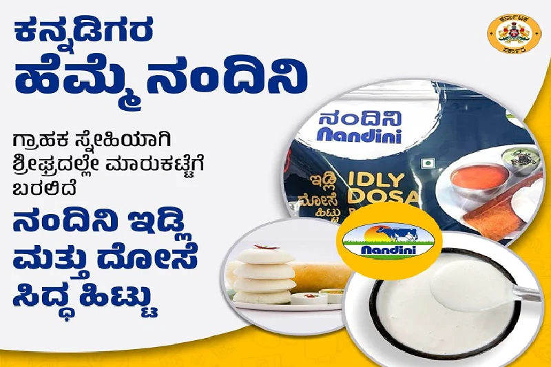 Nandini Idli Dosa