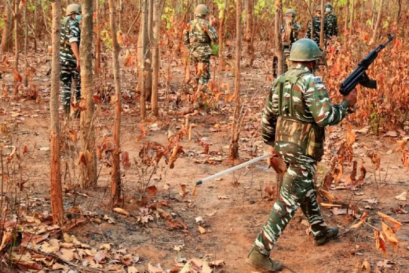 14 Naxals killed