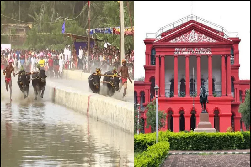 kambala highcourt