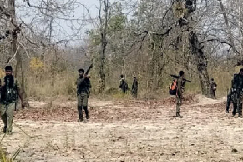 Naxals Killed