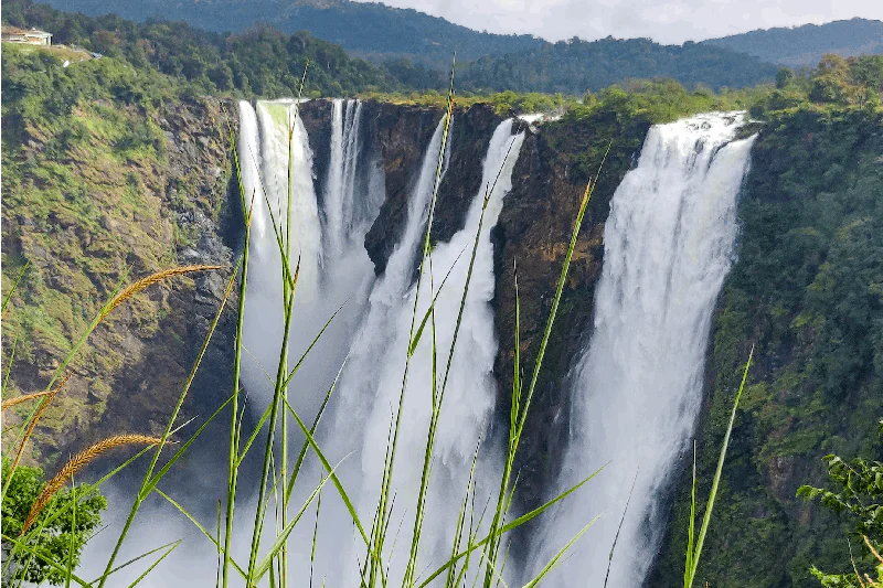 jog-falls