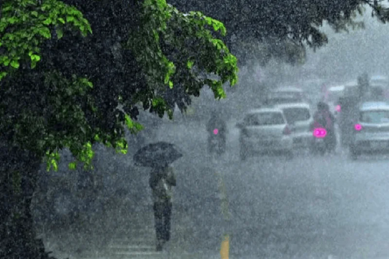 Rain Alert