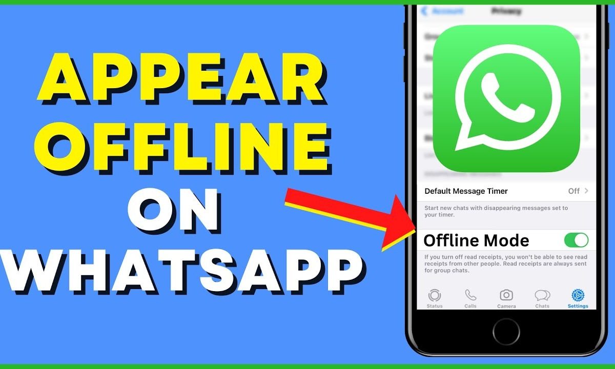 How to show offline in WhatsApp when i am online 2023