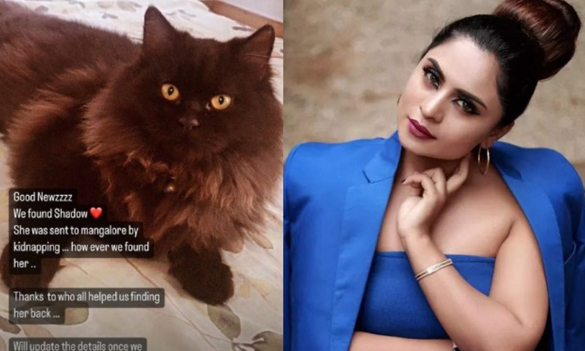 actress deepika das lost cat found in mangalore