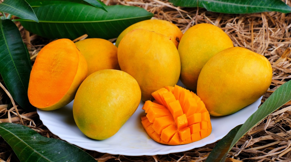 excessive consumption of mango fruit will damage your health here is how