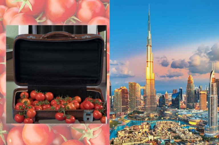 Indian expat in Dubai flies home with 10kg tomatoes in suitcase