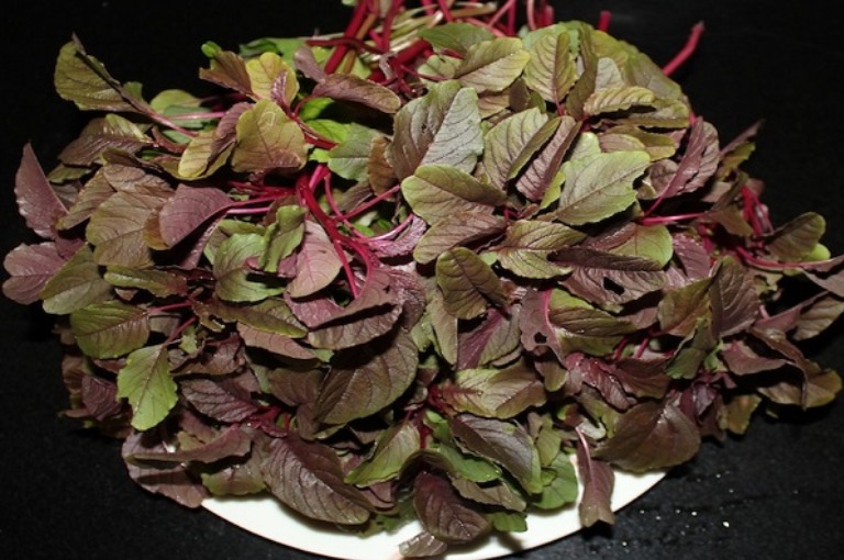benefits of red amaranth leaves in kannada
