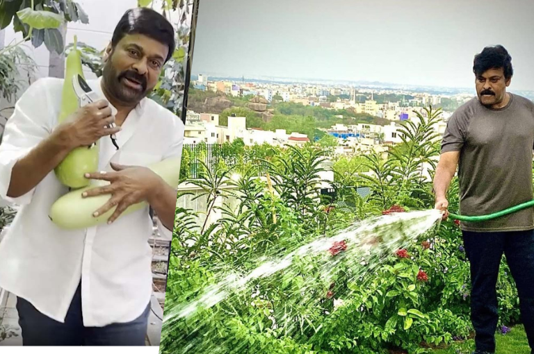 Chiranjeevi's Kokapet Lands in Hot Discussion, Here is Why