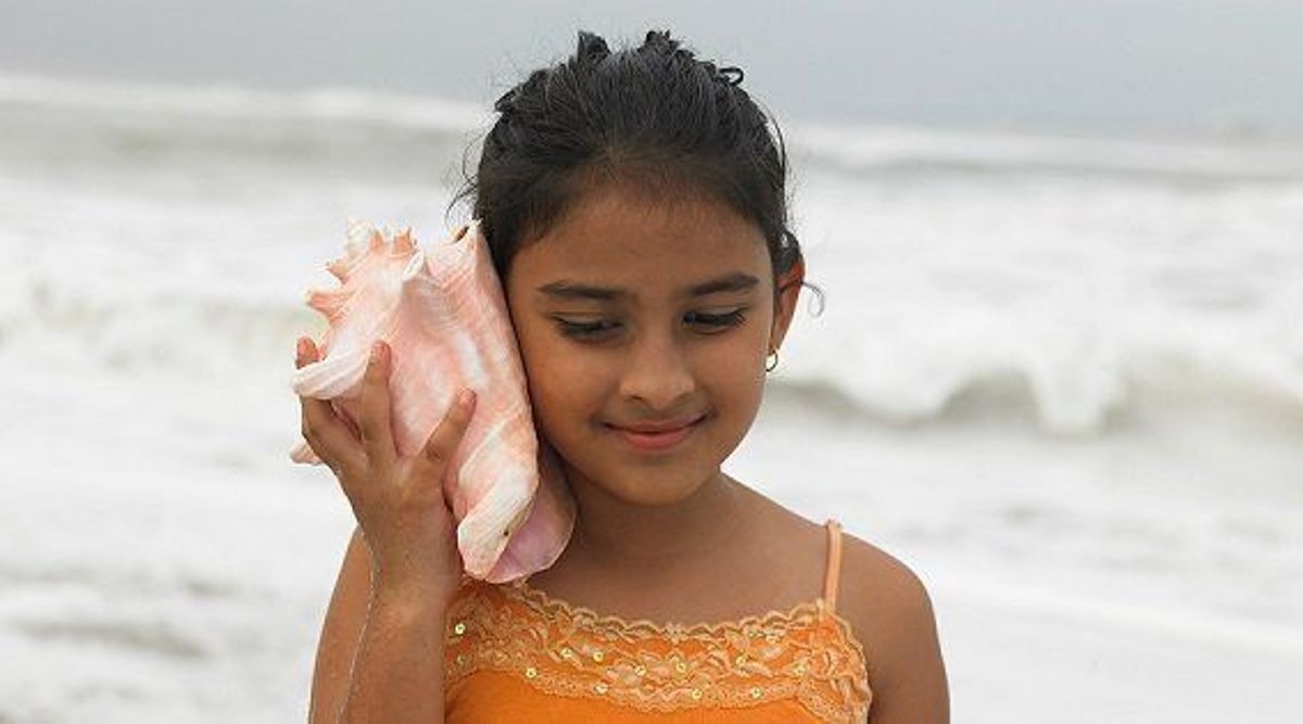 Here is why Do Seashells Sound Like the Sea