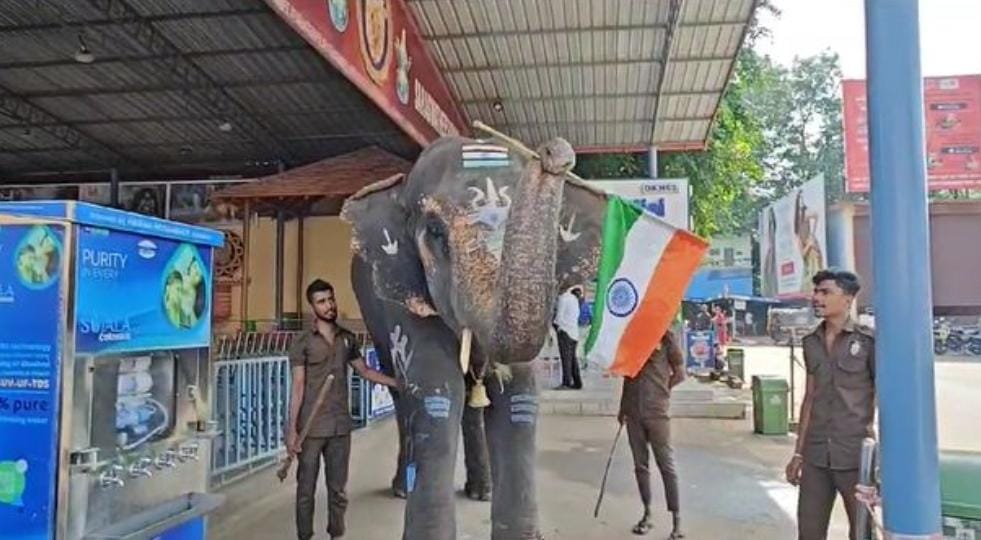 Mahalakshmi elephant of Katilu temple holding the national flag and saluting the flag