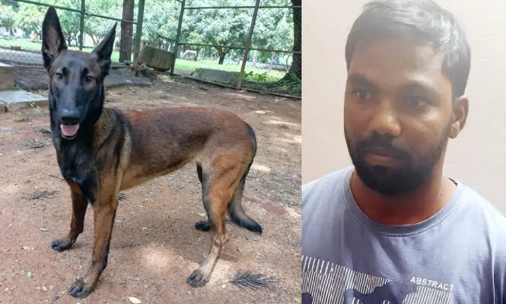 The police dog Thara cracked the murder case within 12 hours