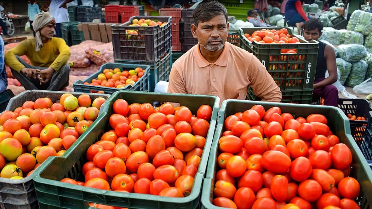 Tomato price reduced from the century mark to 30