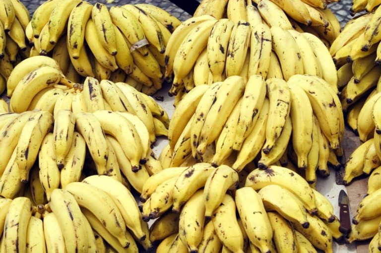 farmer earned 15 lahks from 5 lakh investment to banana farming
