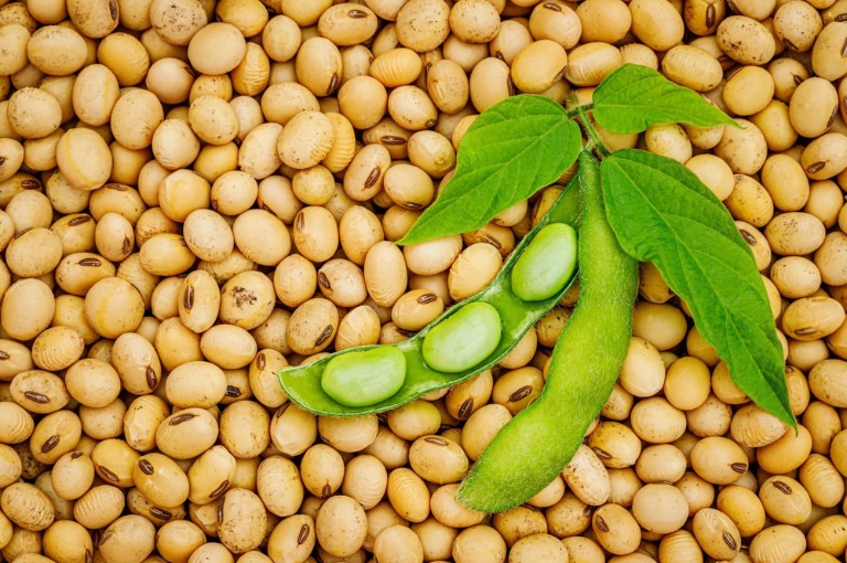 health benefits of soybean explained in kannada