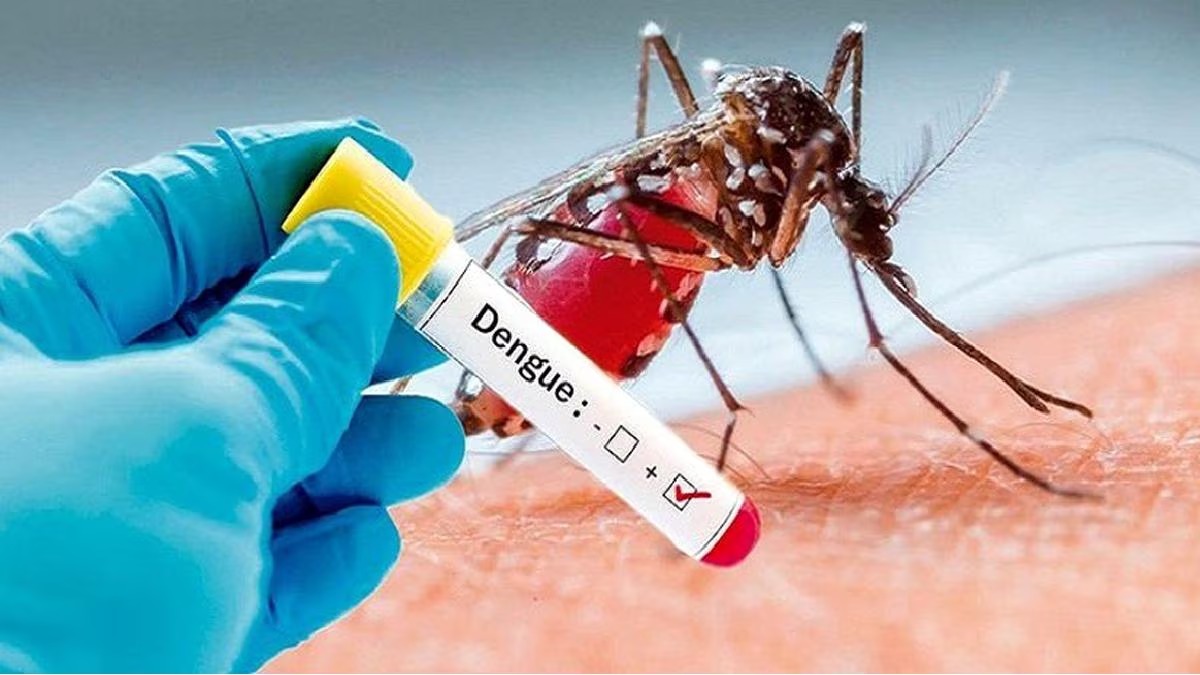 Epidemic dengue is spreading across the state CM appeals to the people of the state