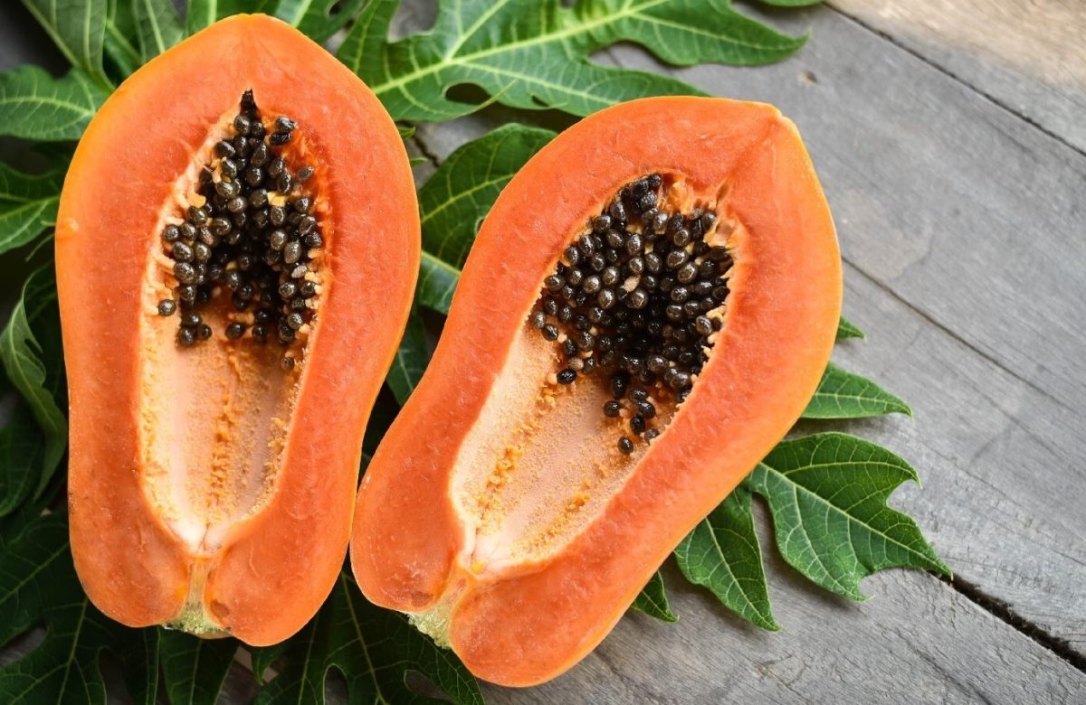 Health benifits of eating papaya on emty stomoch