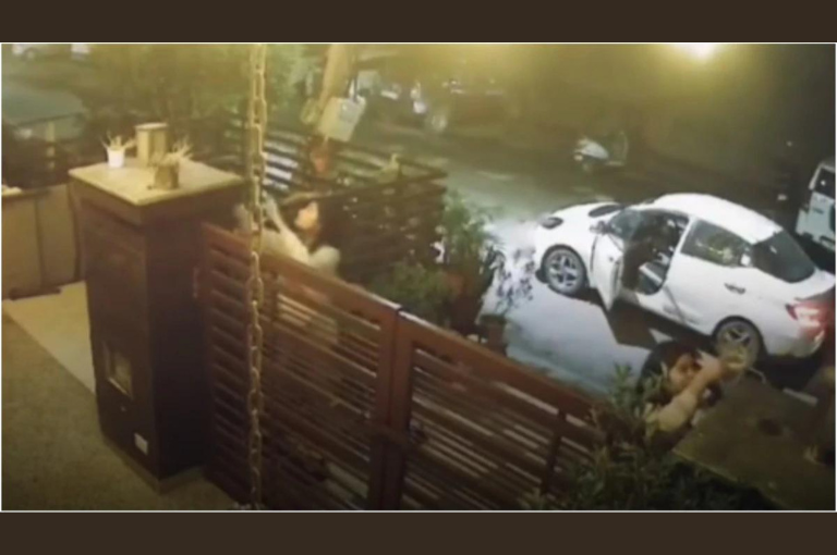 On camera: Two women arrive in sedan, steal flower pots