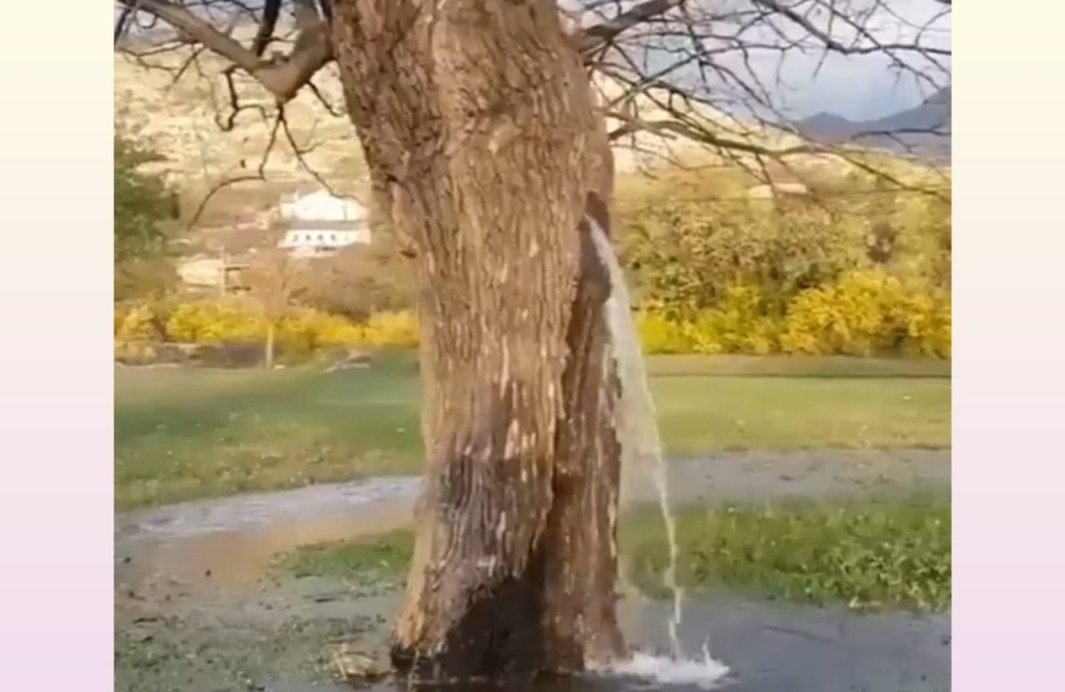 Overflowing water like a waterfall - You must see this amazing video of nature..!