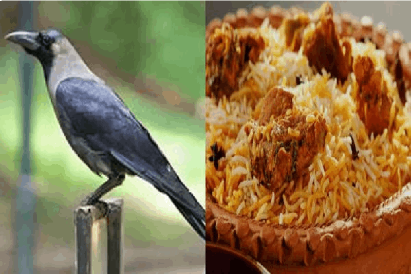 ಈ ಹೊಟೇಲ್‌ನಲ್ಲಿ ನೀವು ಕಾಗೆ ಮಾಂಸ ತಿಂದಿರಬಹುದು; ಬಿರಿಯಾನಿಗಾಗಿ ದಂಪತಿಯಿಂದ ಕಾಗೆಗಳ ಮಾರಣಹೋಮ
